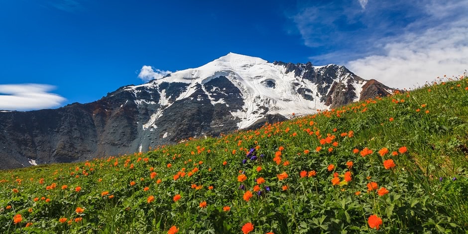 Beauteous landscapes of Altai Krai in photos by Anton Petrus