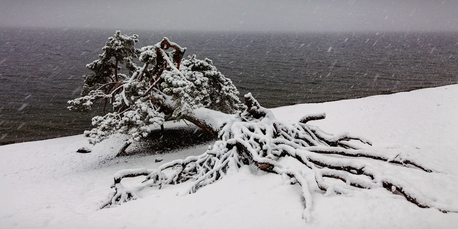 Severe but magnificent Altai winter in photos by Anton Petrus